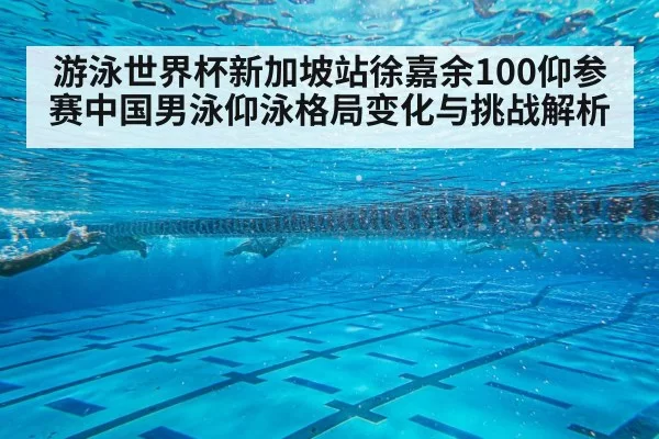 游泳世界杯新加坡站徐嘉余100仰参赛中国男泳仰泳格局变化与挑战解析